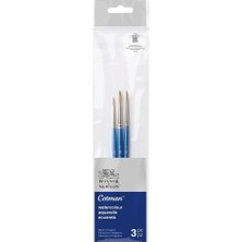 Asitan 5390606 Cotman Sulu Boya Sentetik Saç Seti, 3 Fırça, Mükemmel Zıplama Gücü, Renk Taşıma Gü