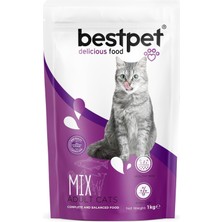 Asitan Mix Yetişkin Kediler Için Tavuk Etli, Kuzu Etli ve Balıklı Kuru Mama, 1 kg