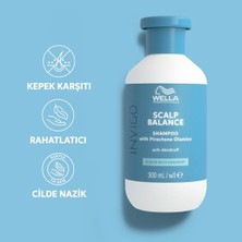 Asitan Invigo Scalp Balance Şampuan 300 ml - Kepek Önleyici
