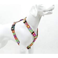 Asitan H-Tipi Göğüs Tasması Ayarlanabilir, Konforlu ve Dayanıklı Desenli Köpek Tasması (Medıum, All