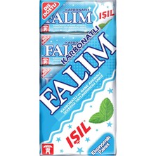 Asitan Falım 5'li Işıl Karbonat ve Nane Aromalı Şekersiz Sakız 40 gr