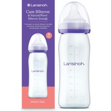 Asitan Cam Biberon 240 ml | Emzirme ve Biberonla Besleme: Meme Başı Karışıklığını Azalttığı Kli