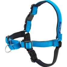 Asitan Deluxe Easy Yürüyüş Kemeri Mavi Köpek Göğüs Tasması Küçük (38-51 Cm)