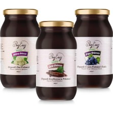 Asitan Pekmez Seti (3 Parça) / Ecocert Sertifikalı (460GR x 2 ADET)+(380GR x 1 Adet)