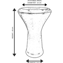 Asitan Darbuka - Mısır Darbuka Siyah - Kılıf Hediyeli
