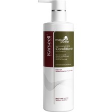 Asitan Hasarlı Saçlar Için Derinlemesine Onarıcı Saç Kremi 500 ml