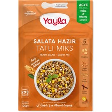 Asitan Yayla Salata Hazır Tatlı Mix, 120 gr Tekli Paket