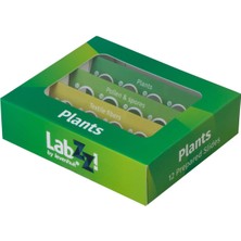 Asitan Levenhuk Labzz P12 Bitkiler Hazırlanmış Slayt Seti