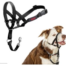 Asitan Şirket Hayvanlarının Halti Köpek Halter, Boyut 2 (35-48 Cm), Siyah