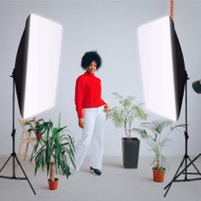 Asitan Fototekfotoğraf 50X70CM Softbox Ikili Sürekli Işık Seti 50X70 Softbox Çiftli Strobist Set Taş�
