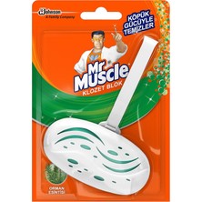 Asitan Mr Muscle Orman Esintisi 1 Adet Klozet Bloğu