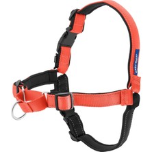 Asitan Deluxe Easy Walk Köpek Koşum Takımı