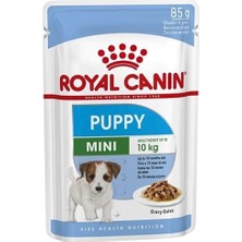 Asitan Mini Puppy Köpek Yaş Mama, 85 gr