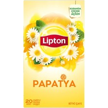 Asitan Papatya Bitki Meyve Çayı, 20'li