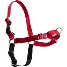 Asitan Petsafe Easy Walk Köpek Tasması
