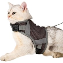 Asitan Kedi Tasması Göğüs Boyun Tasma Seti Sevk Kayışlı Terletmeyen Nefes Alan Reflektörlü Tasma (