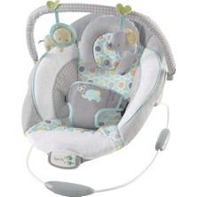 Asitan Rahatlatıcı Ana Kucağı Bebek Koltuğu, Sesler ve Titreşimler, 0-6 Ay, 9 Kg'a Kadar - Morrison,