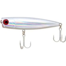 Asitan Sea Horse Popper 10,5 cm 04 24 gr Sahte Balık