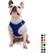 Asitan Air-Mesh Küçük ve Orta Irk Kedi Köpek Göğüs Tasması - Yumuşak, Nefes Alabilir, Dayanıklı