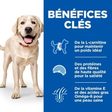 Asitan 's Scıence Plan Light Yetişkin Büyük Irk Tavuklu Köpek Maması 14 kg
