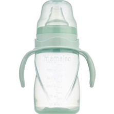 Asitan Mamajoo Kulplu Akıtmaz Eğitici Bardak Powder Green 270 ml & Anti-Kolik Bardak Ucu