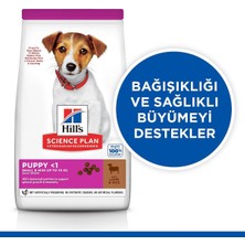 Asitan 's Scıence Plan Küçük Irk Kuzulu & Pirinçli Yavru Köpek Maması 6 kg
