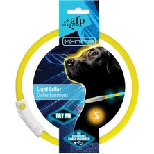 Asitan All For Paws K-Nite LED Işıklı Köpek Tasması, Küçük, 90 G