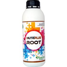 Asitan Nutriplus Root Köklendirici Sıvı Bitki Besleme 1 Lt Gübre