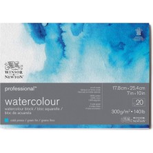 Asitan 6664001 Profesyonel Sulu Boya Kağıdı, Blokta, 20 Yaprak, 17,8 x 25,4 Cm, 300 G/m², Ince Taneli,