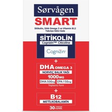 Asitan Smart Sitikolin, Dha Omega 3 Norveç Balık Yağı ve B12 (30 Kapsül)