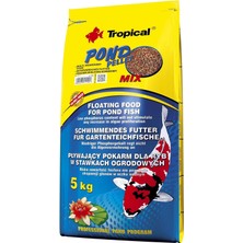 Asitan Pond Pellet Mix Japon ve Havuz Balığı Yemi 5kg