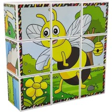Asitan Küpss Uçan Hayvanlar 3D Manyetik Puzzle (9 Mıknatıslı Küp 6 Yapboz)