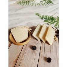 Asitan Trendmilano Doğal Kabak Lifli Organik, Bitkisel, Bulaşık Süngeri, 3 Adet Ekonomik Set 12X8 cm