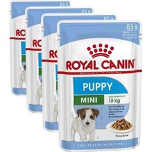 Asitan Mini Puppy Köpek Yaş Mama, 85 gr (4 Paketi)