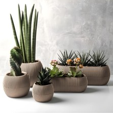 Asitan Mercan Saksı Set Dekoratif Drenajlı Çizgili Mat (5 Parça, Bej)