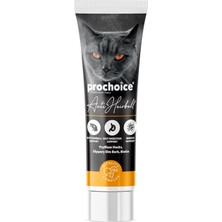 Asitan Anti Hairball Pasta Kediler Için Kıl Yumağı Önleyici Vitamin 100 ml