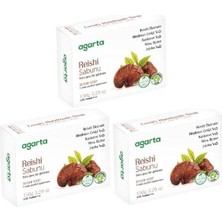 Asitan Doğal Reishi Sabunu 150 gr x 3 Adet