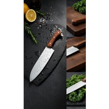 Asitan Alaz: Santoku Şef Bıçağı - Özel Japon Şef Bıçağı
