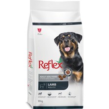 Asitan Kuzu Etli Yetişkin Köpek Maması 10KG