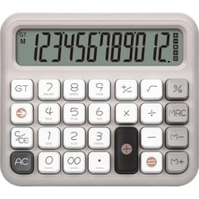 Asitan Daxı X-250 12 Haneli Hesap Makinesi (Pastel Gri)