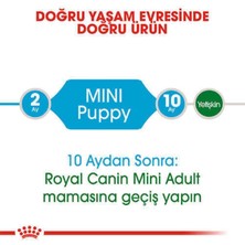Asitan Mini Puppy Küçük Irk Yavru Köpek Maması 2 Kg, 3182550793001FARMA