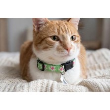 Asitan Tatucha Premium Galaxy Harmony Kedi Boyun Tasması, Yeşil, 11X35 Cm, Özel Koleksiyon