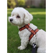 Asitan Köpek Göğüs Tasması H Tipi Minik ve Küçük Irk Ayarlamalı Kolon Kordon Kaplan Desen