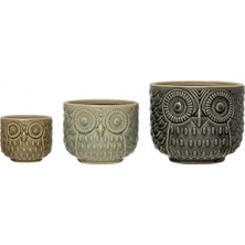 Asitan Warm Design Dekoratif Baykuş Kaplar