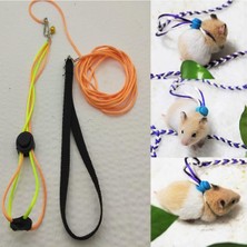 Asitan Ozzipetshop Gonzales Hamster Gezdirme ve Dolaştırma Tasması Patentli Tasarım