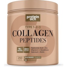 Asitan Proteinocean Collagen Kolajen Ahududu 6 Vitamin Ilaveli Tip 1,2,3 250G 25 Servis