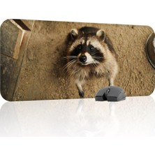 Asitan Rakun Oyuncu Gaming Mouse Pad Kauçuk Kaymaz Taban Mousepad (V1, 70X30 Xl)