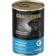 Asitan Challenge Konserve Köpek Somonlu Yetişkin 400 gr