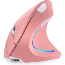 Asitan Dikey Fare, Sağ El 2,4 Ghz Kablosuz Ergonomik Şarj Edilebilir Dikey Fare 4 Ayarlanabilir Dpı 800/1