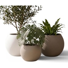 Asitan Zevli Japandi Tarzı Modern Küre Saksı 3'lü Set - Su Sızdırmaz Dekoratif Salon ve Balkon Saks�